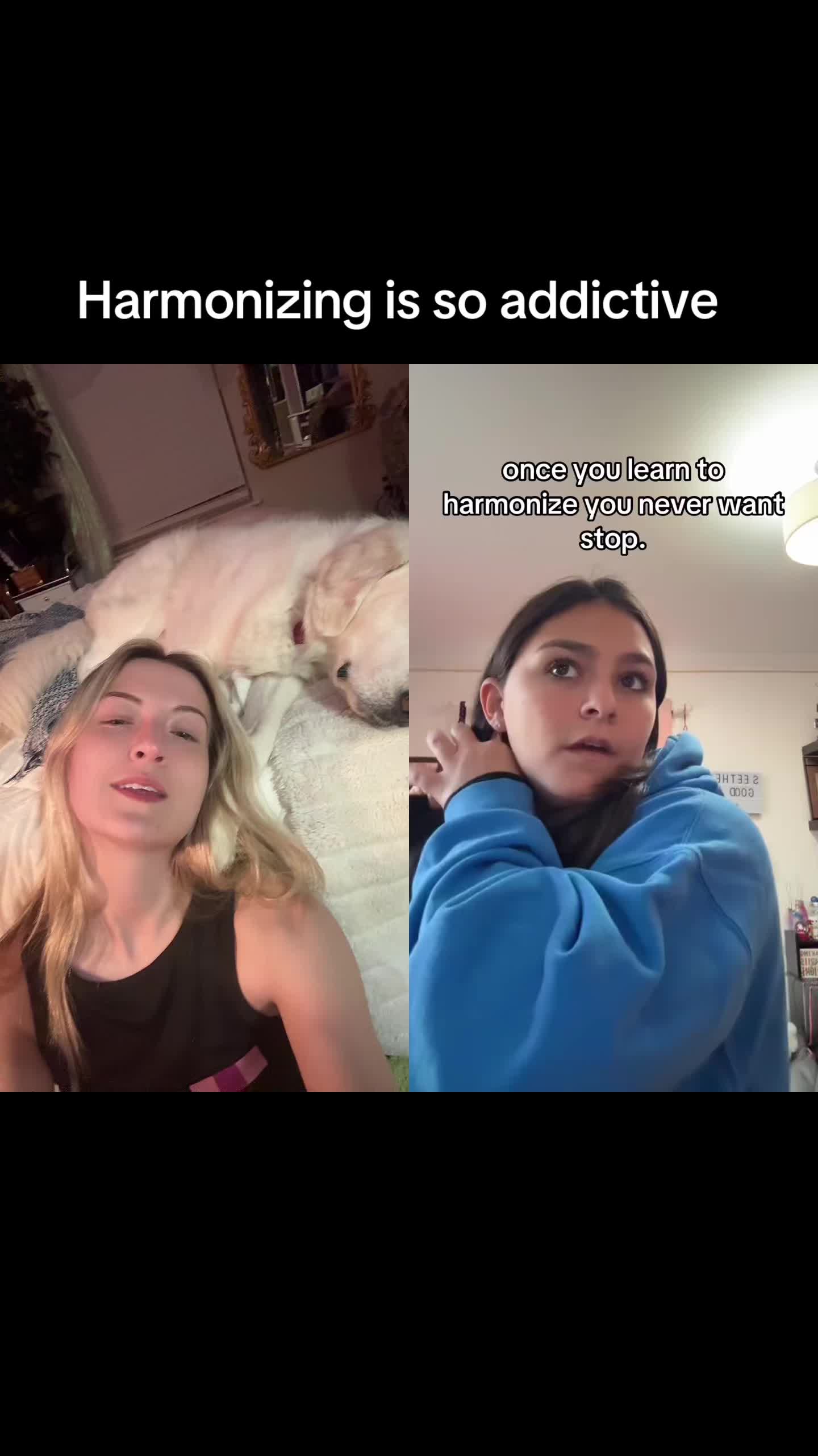 @TAYRANTULA