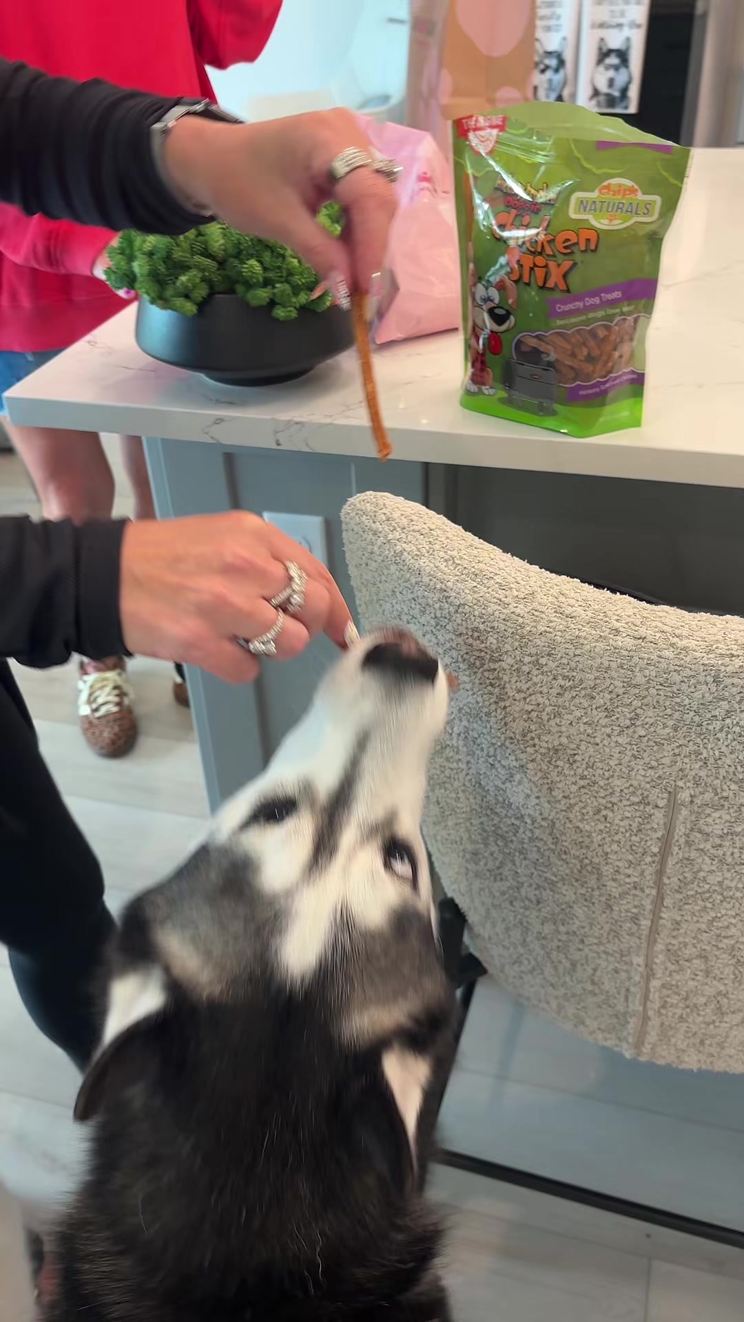 @lifewith2huskies