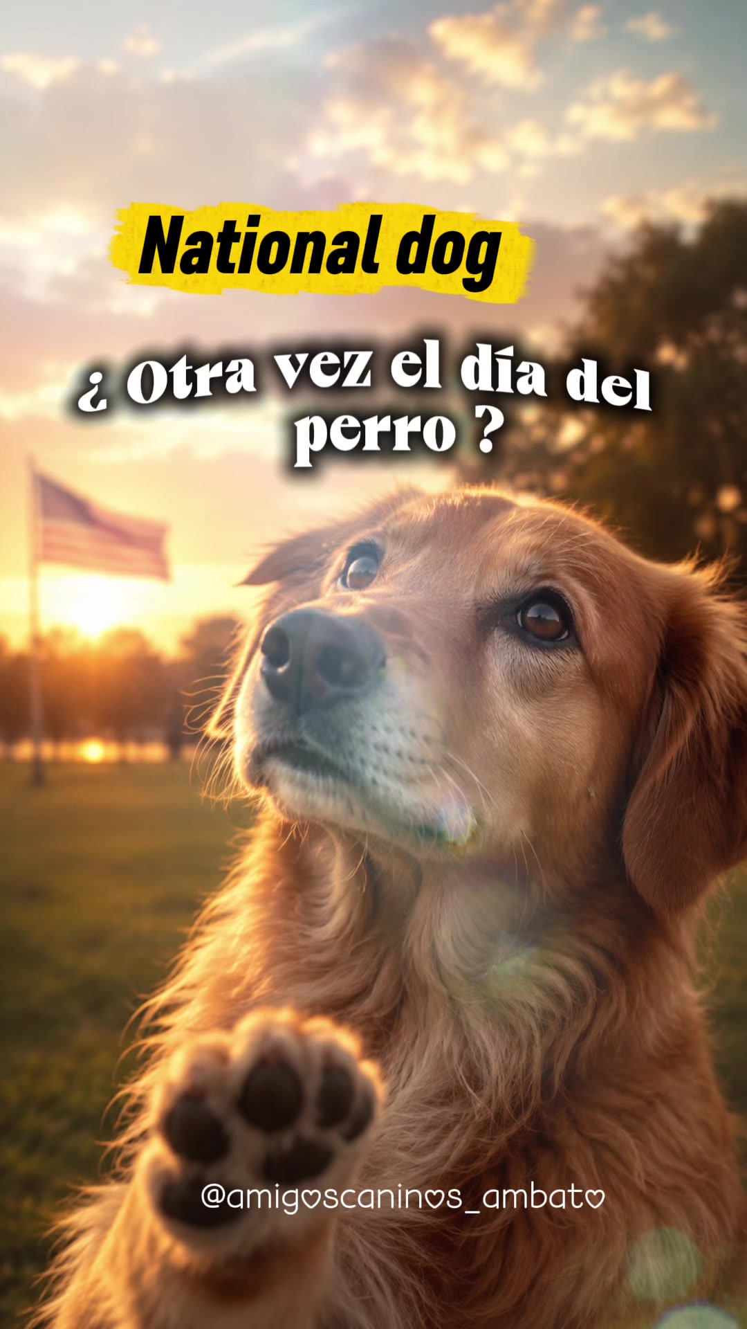 @Amigoscaninos_Ambato