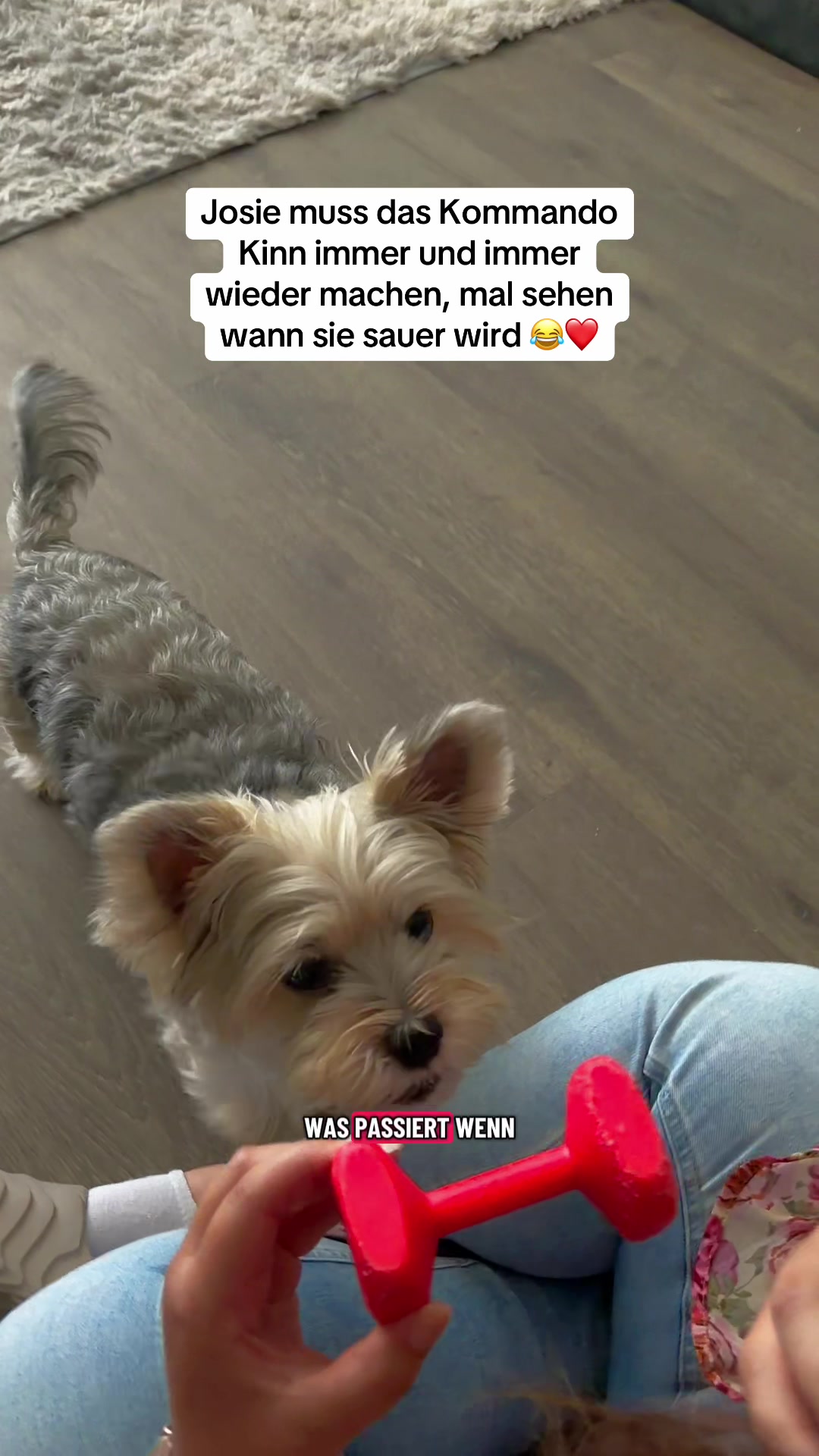 @XXLBALU