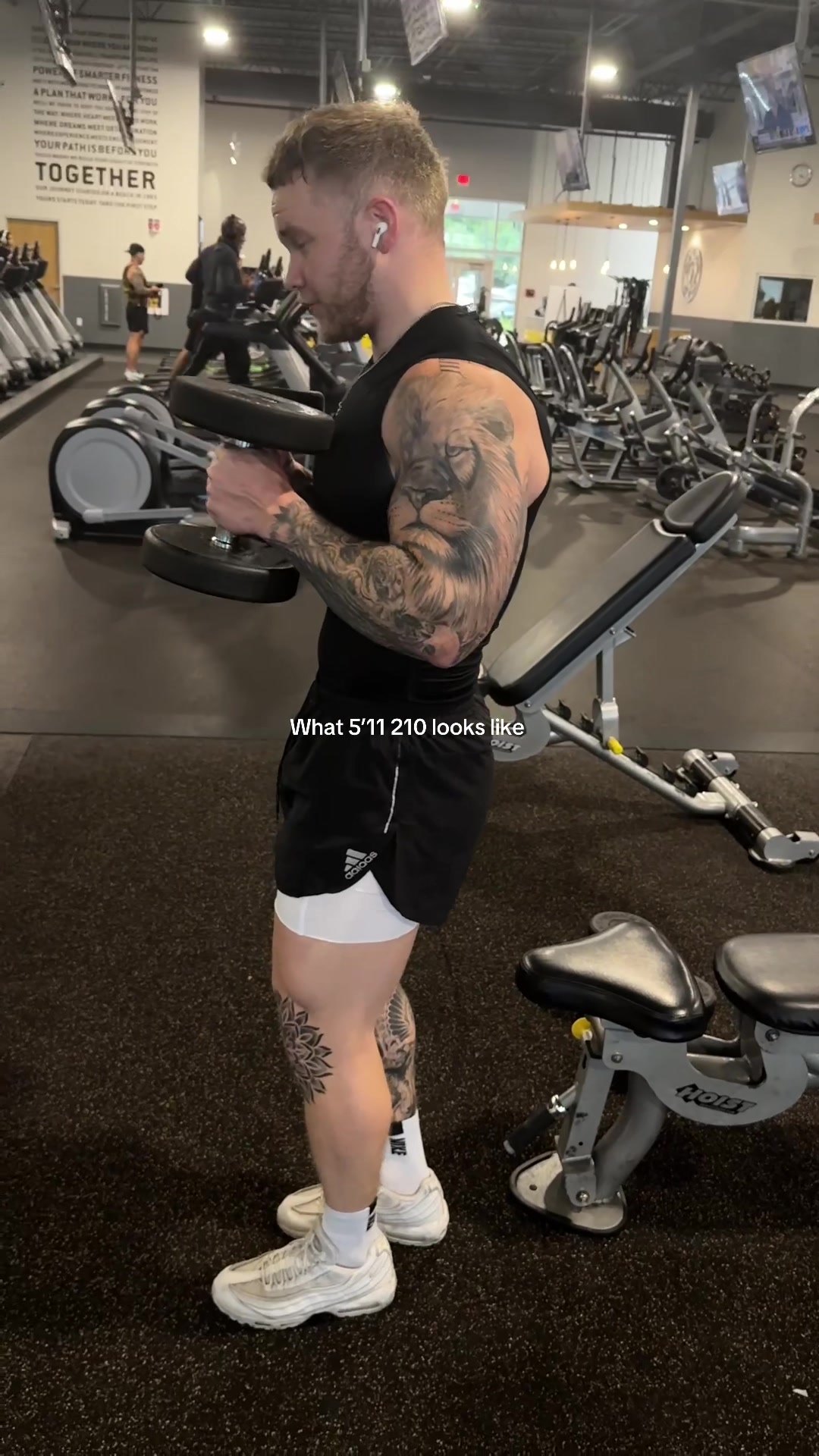 @trevazoid