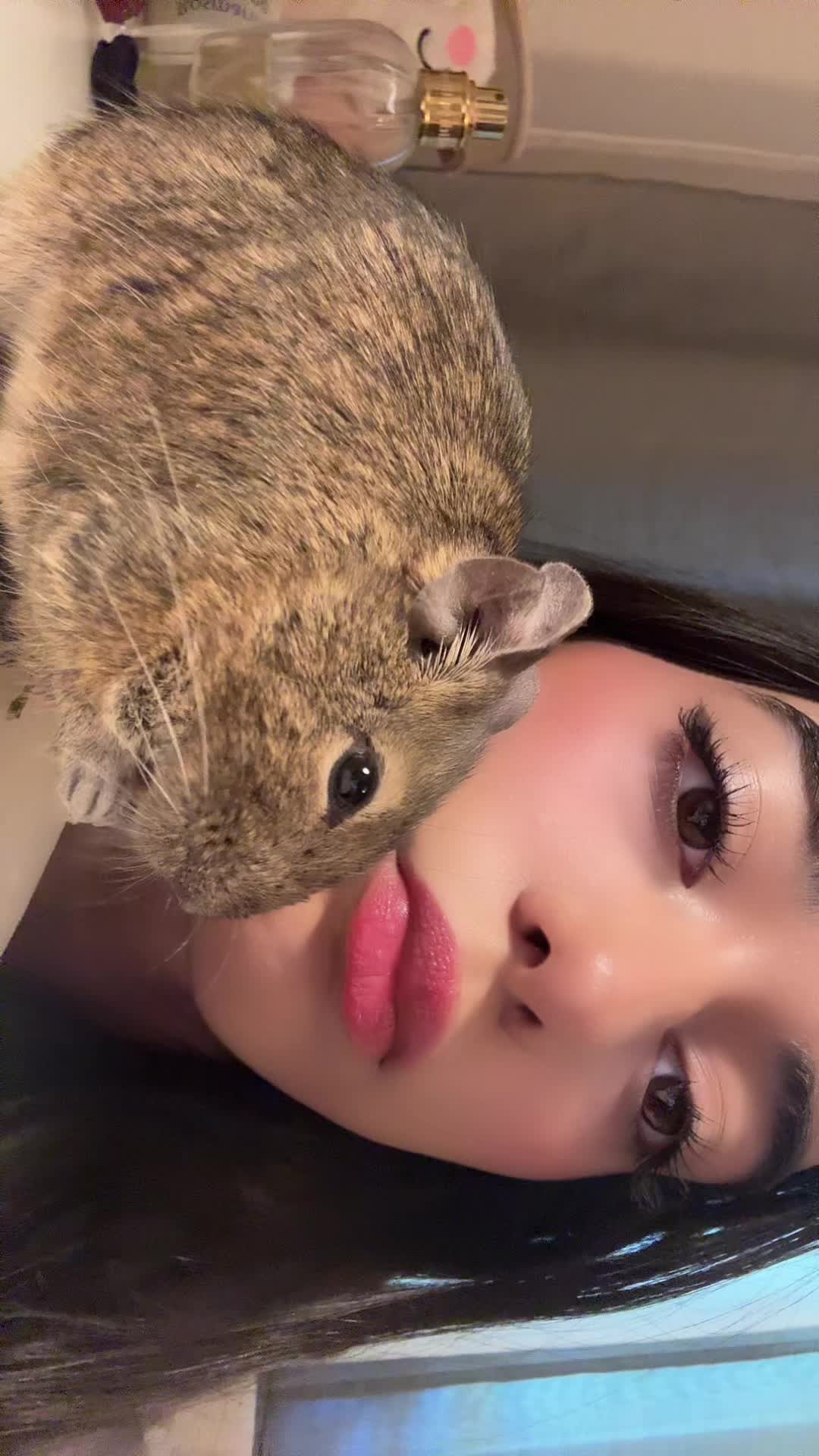 @꧁Сияна꧂