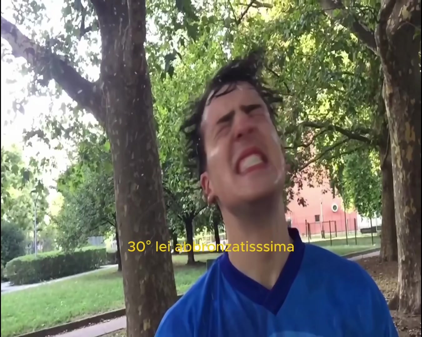 @vins