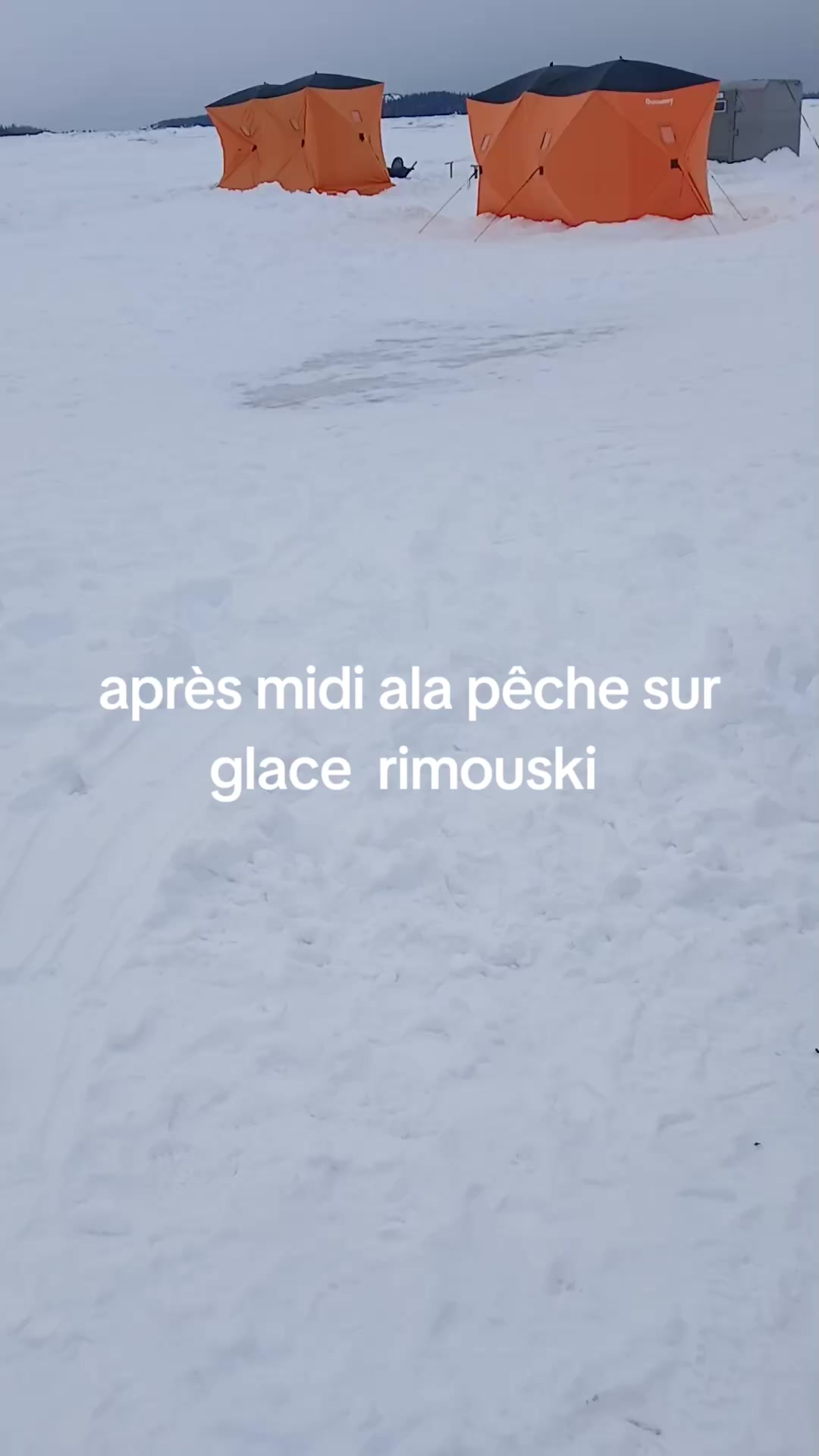 @galaxie503