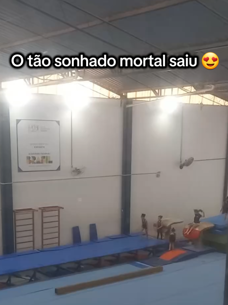 @Sophia Oliveira