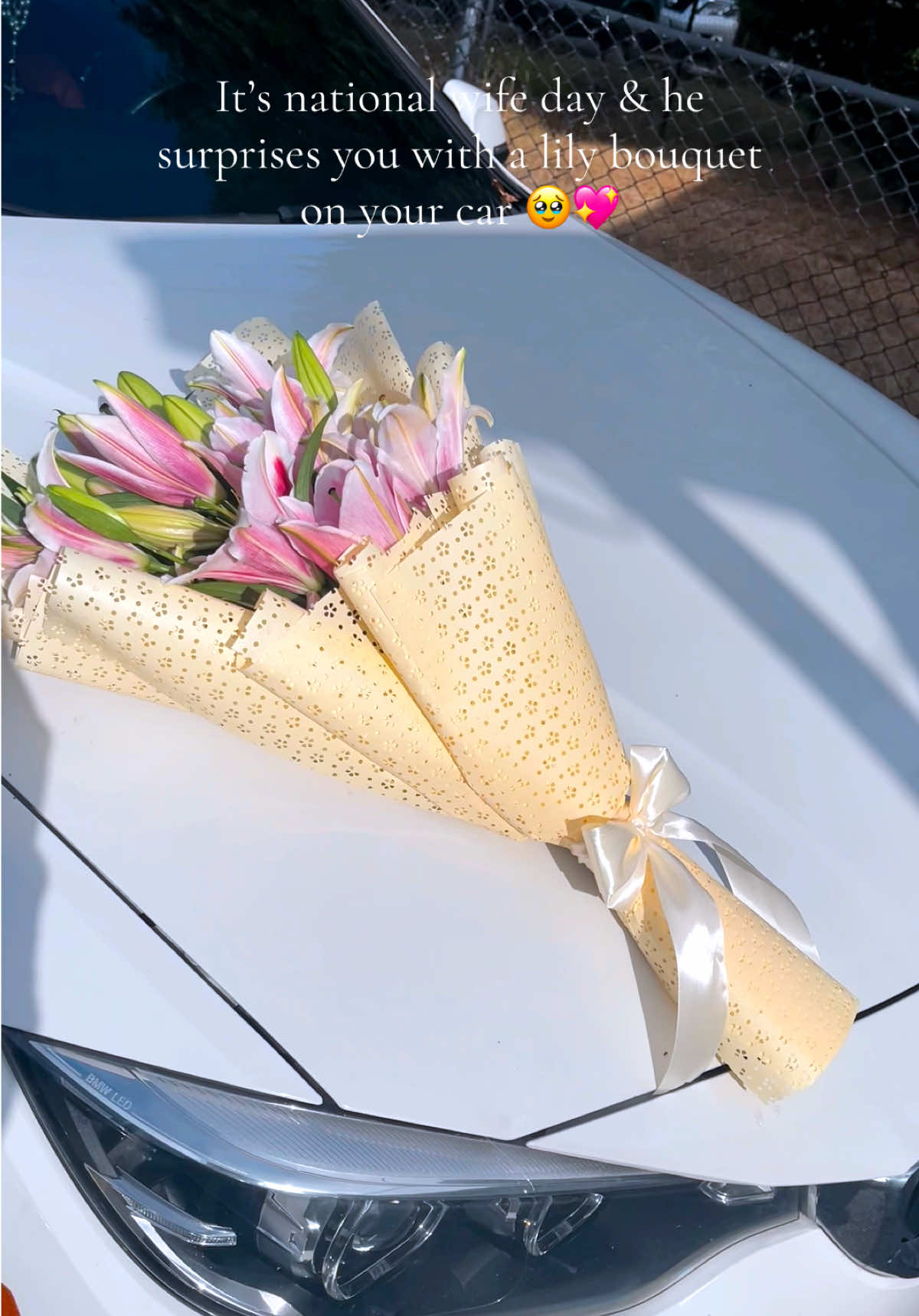 @Yaya ✨