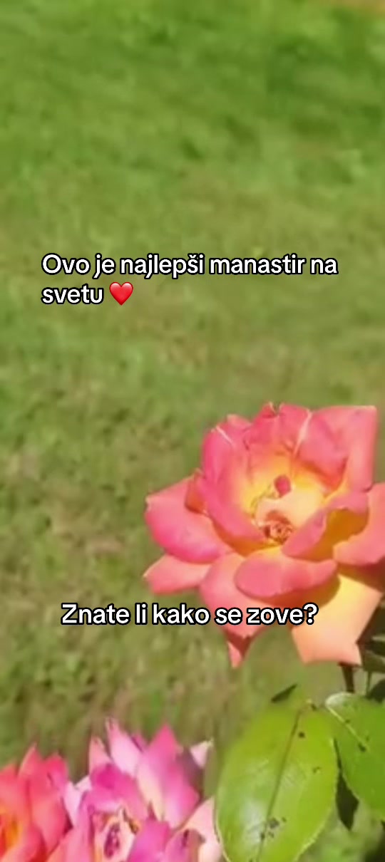 @Kris&Raso