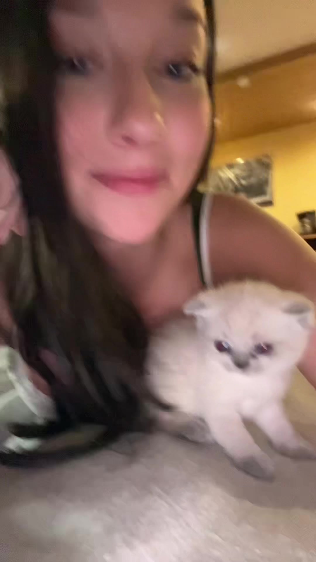 @jolie_zlr