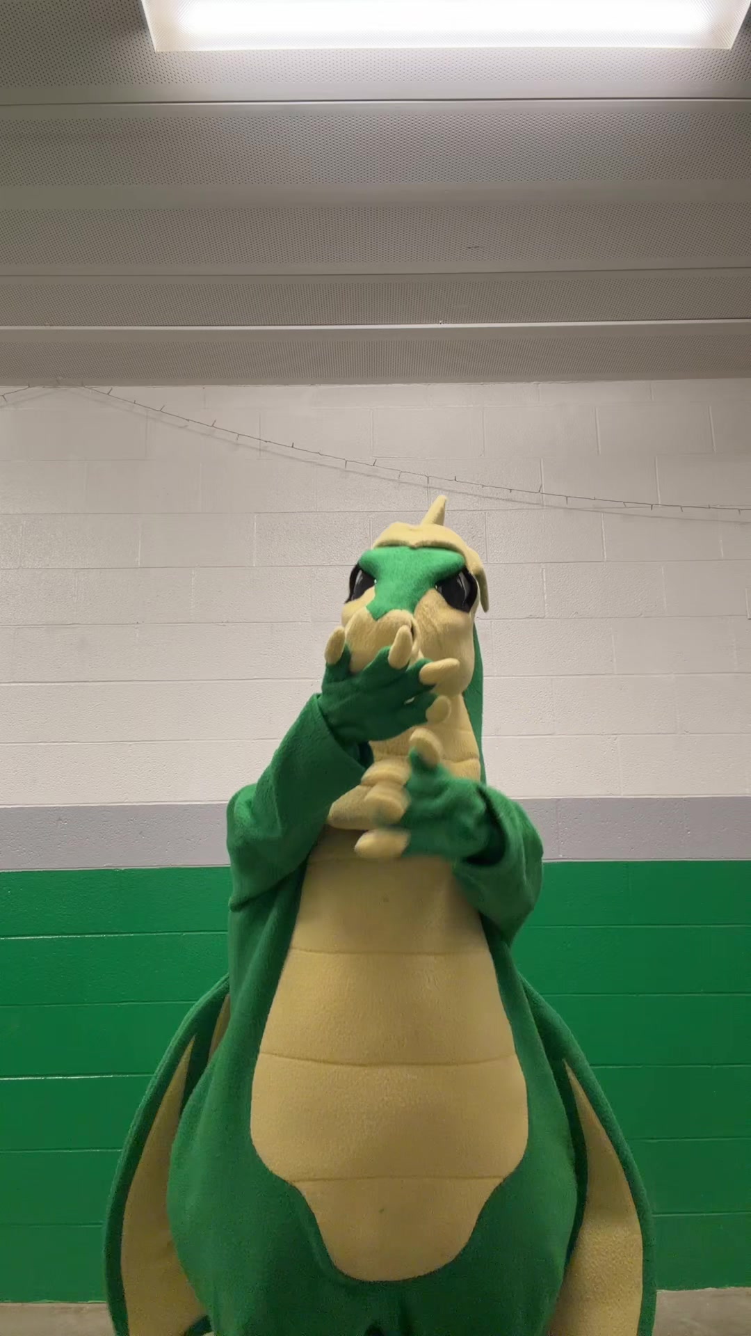@SGHS mascot