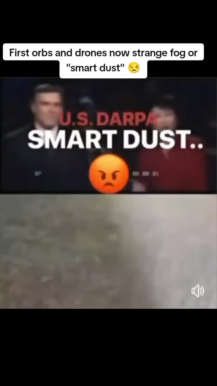 @Lady Moon