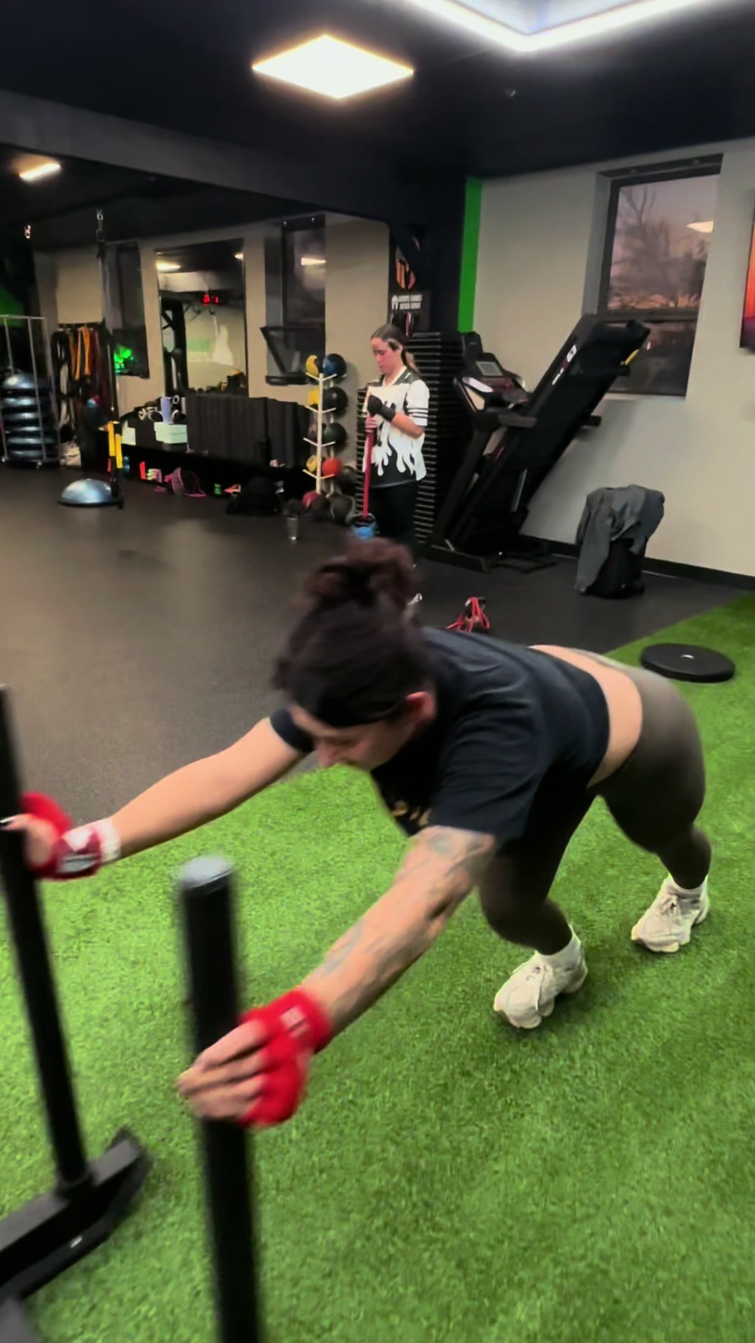 @Freddylive Fitness
