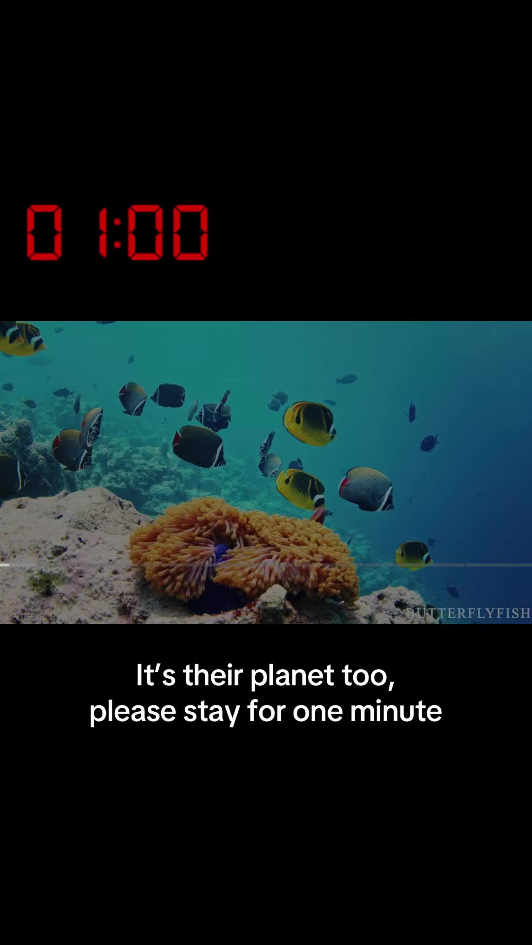 @Earth’s Blue Heart