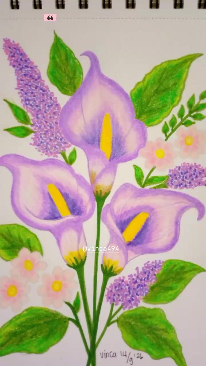 @vinca494