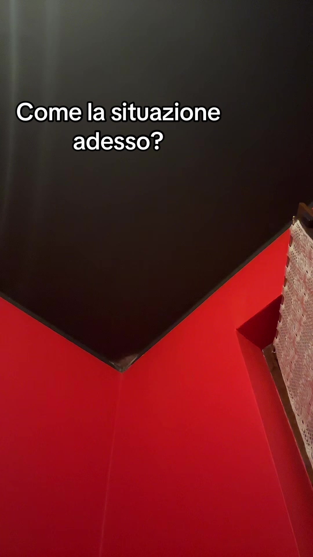 @d4kot4__