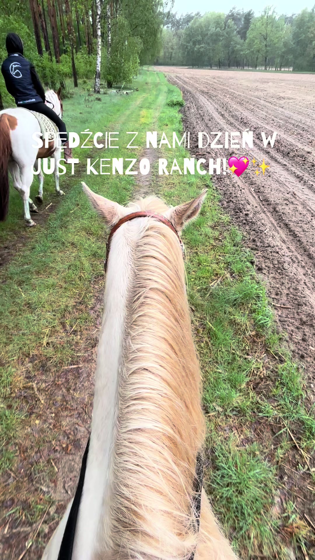 @Te_z_rancha