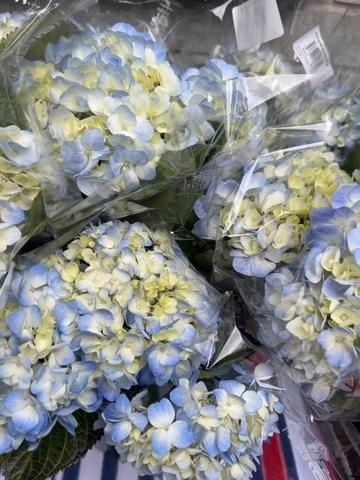 @kane.floral.design