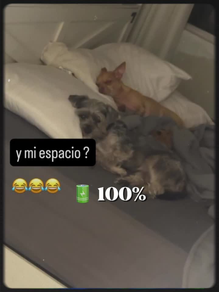 @Joshua261.jrn26