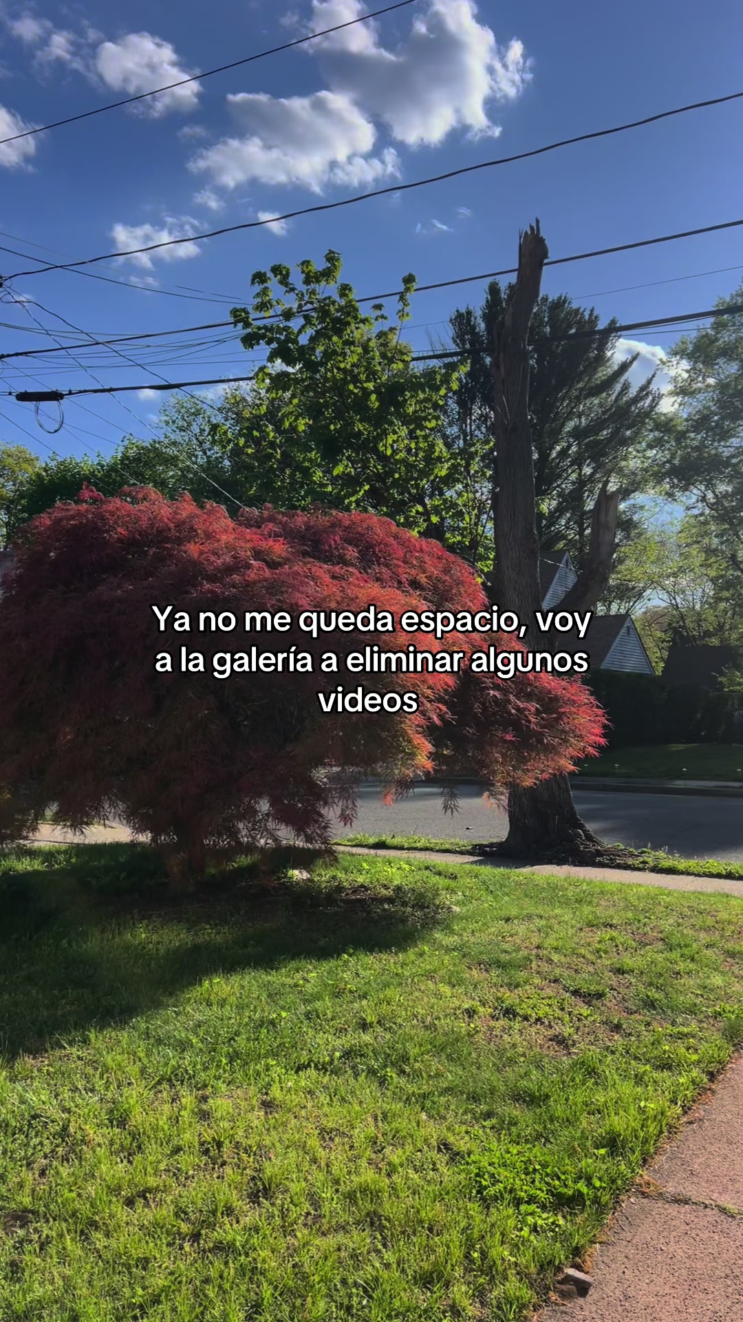 @Yamii ✨