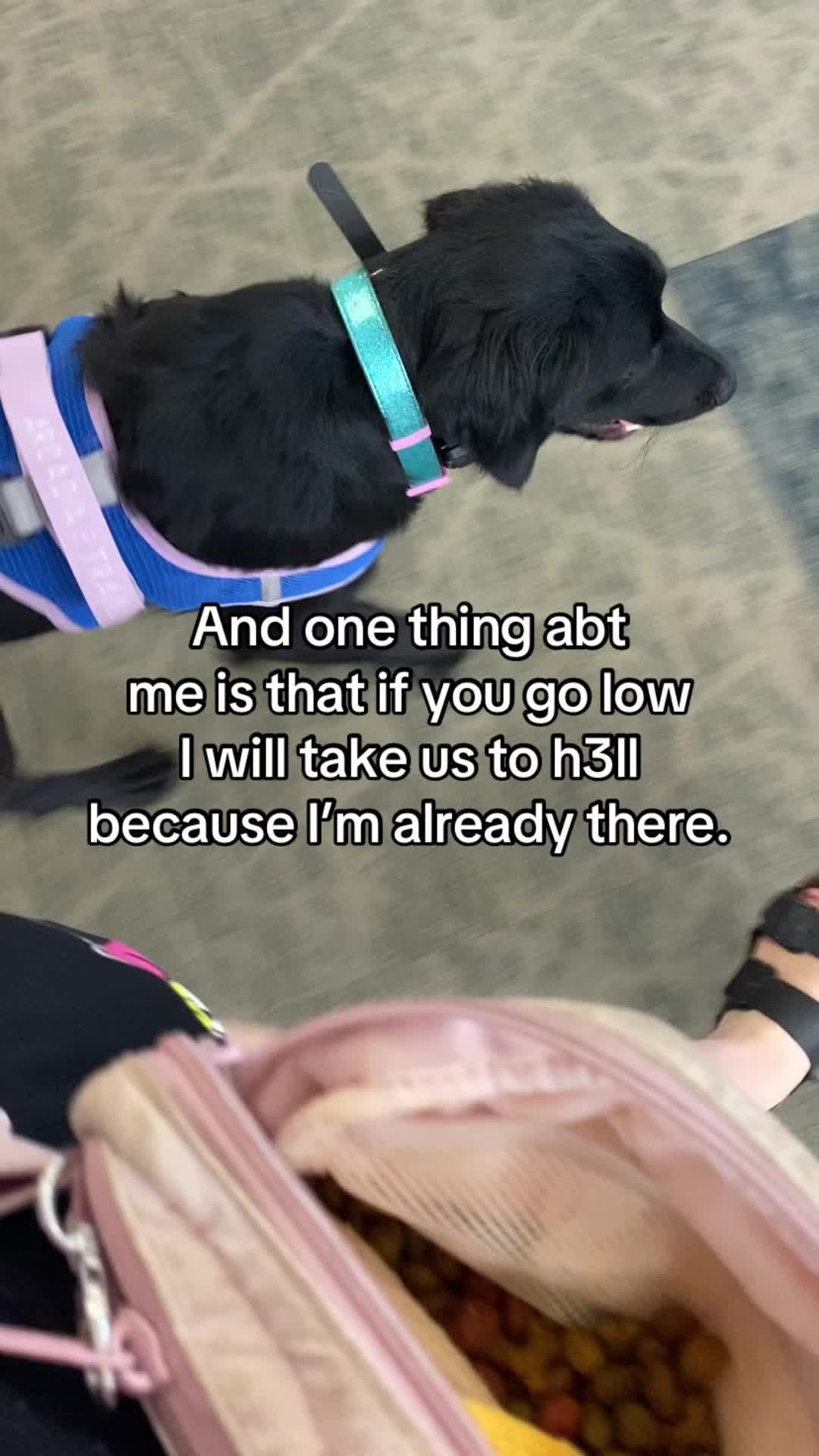 @dylan_the_gothic_golden