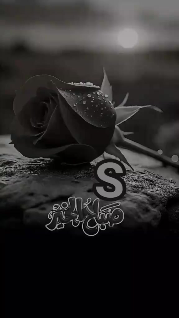 @Tahir Mayo
