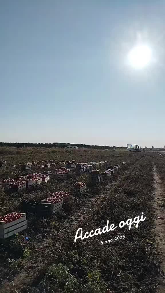 @Nicola Manetti