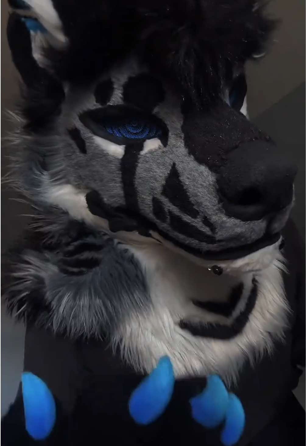 @sonar_hyena_shark