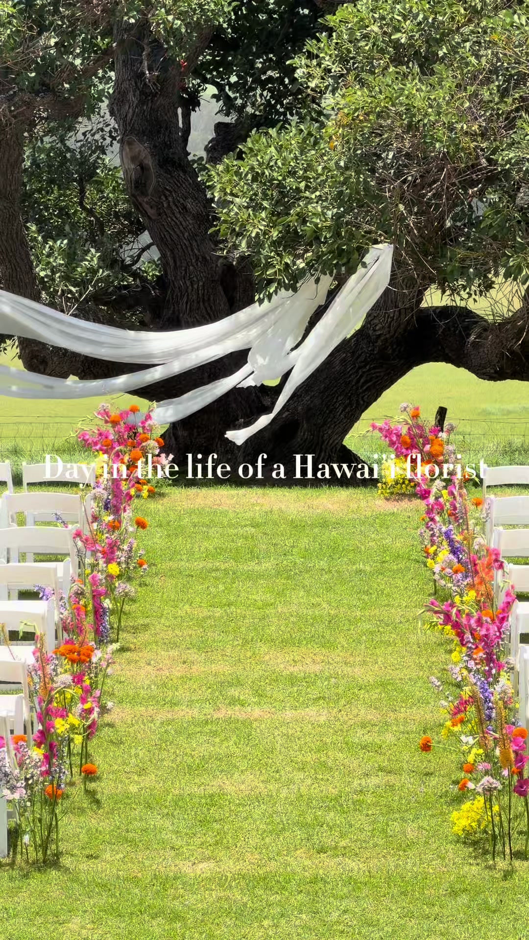 @Shoots Blooms