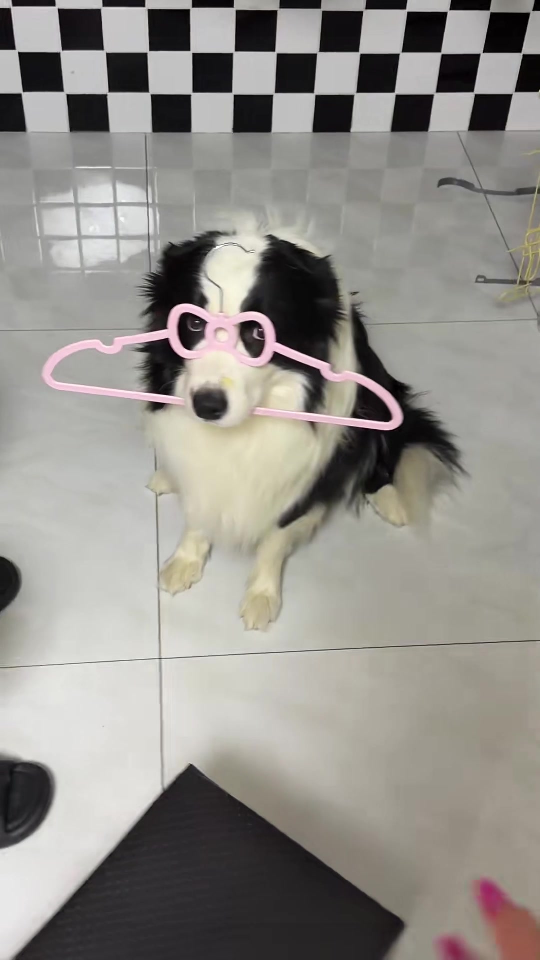 @MoewaiiCat