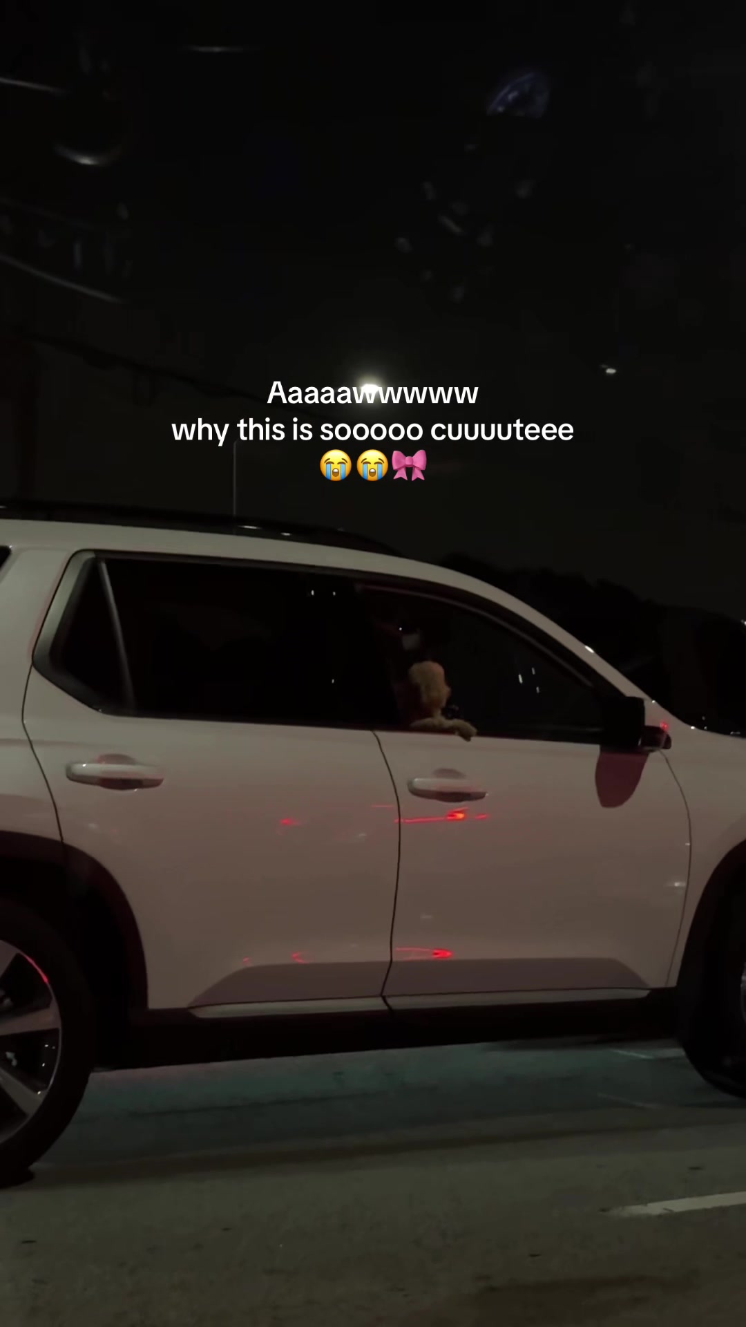 @aidaikiiin