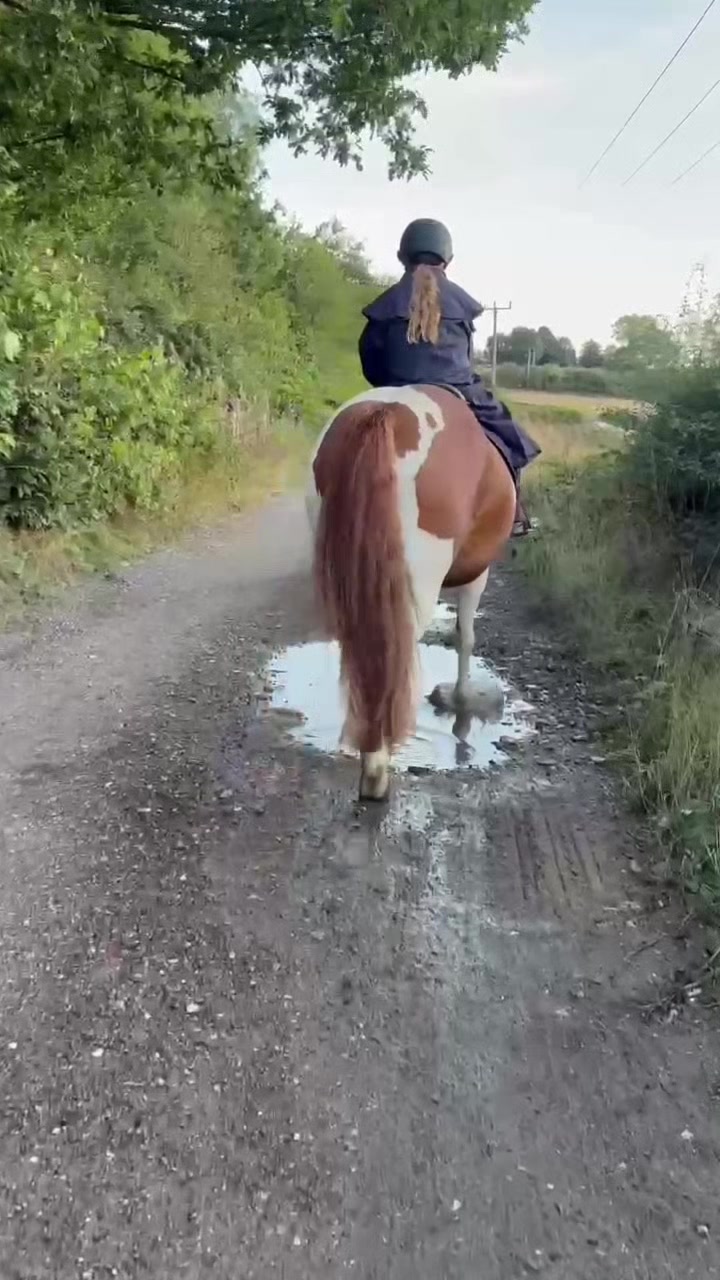@LottiesHorseAdventures🦄🐴