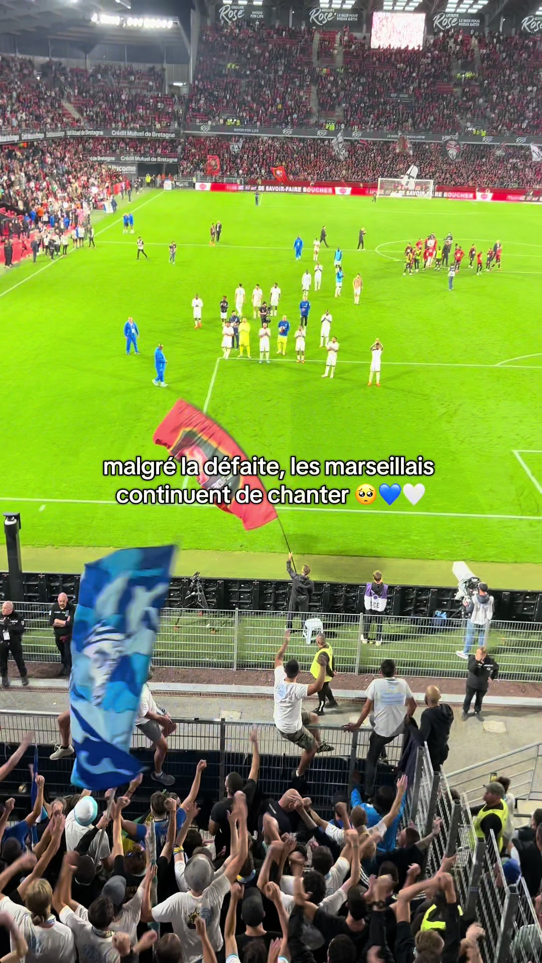 @Margoat 🌟💙🤍
