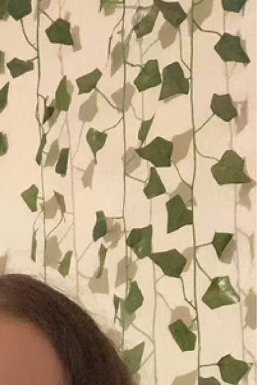 @hxlene.6