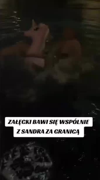 @Dawidek777