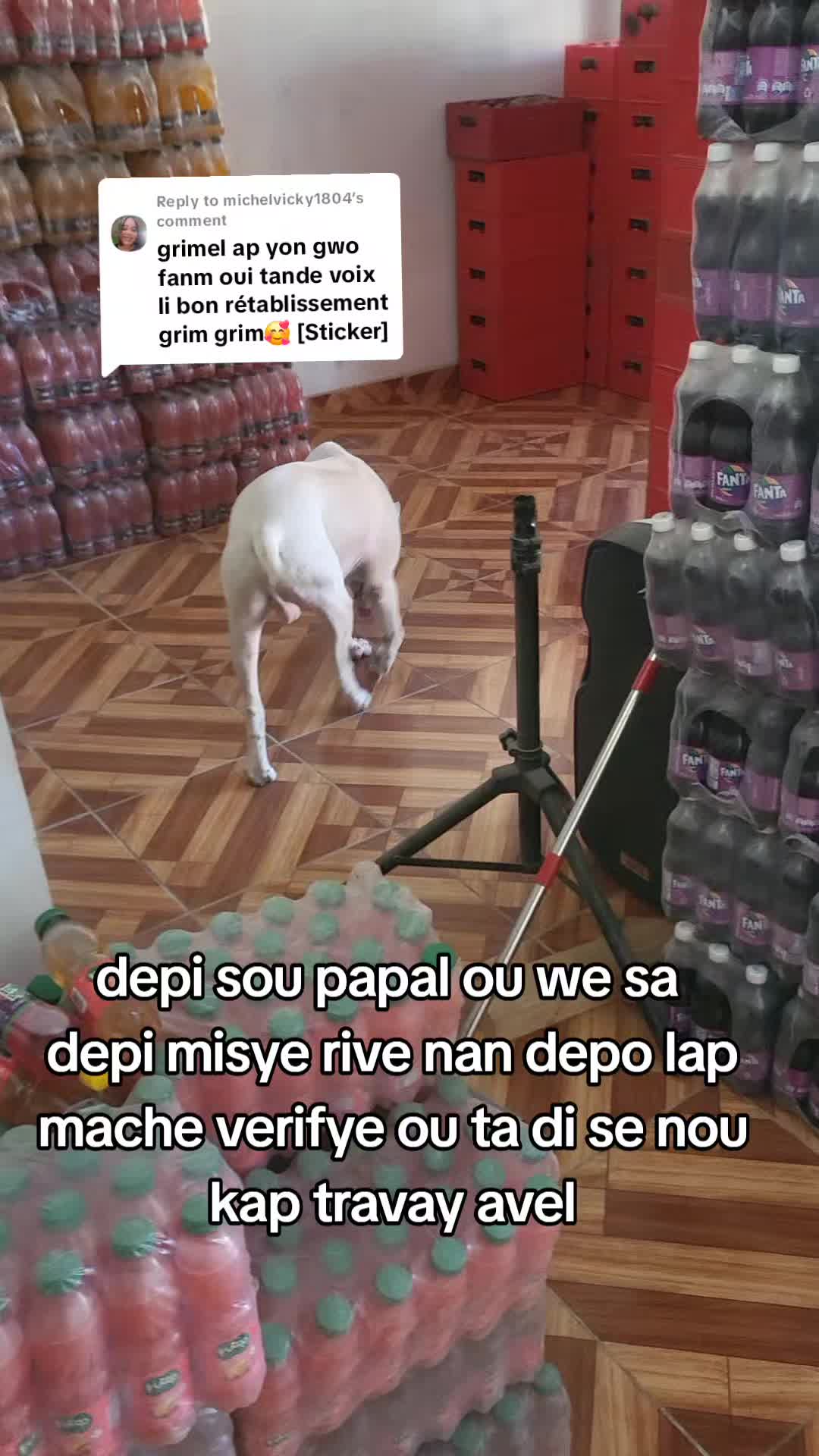 @Bendog