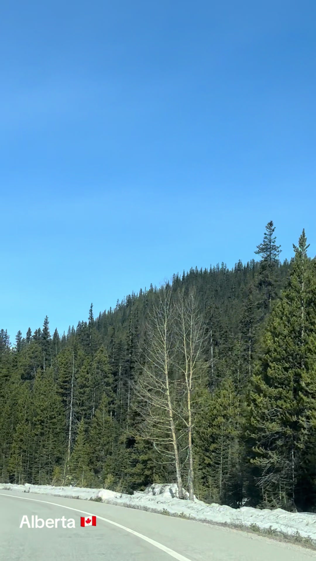 @Ada 🇨🇦