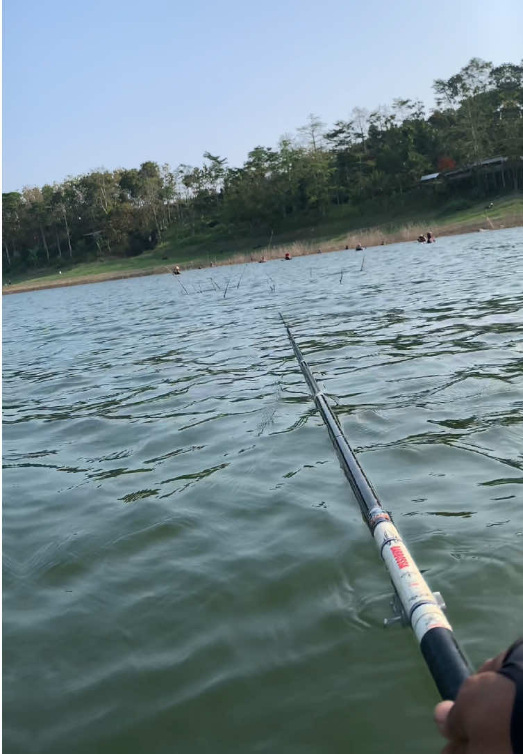 @MAFIA FISHING