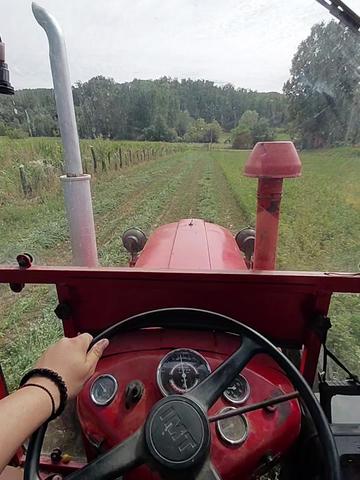 @Keša