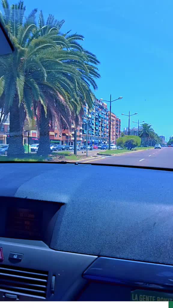 @Bel Alves