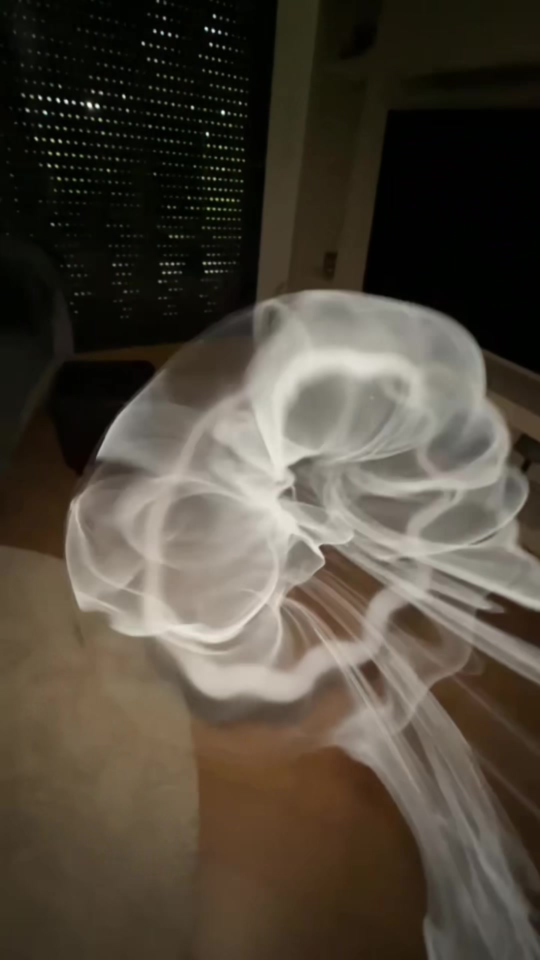 @user_jelly fish🪼