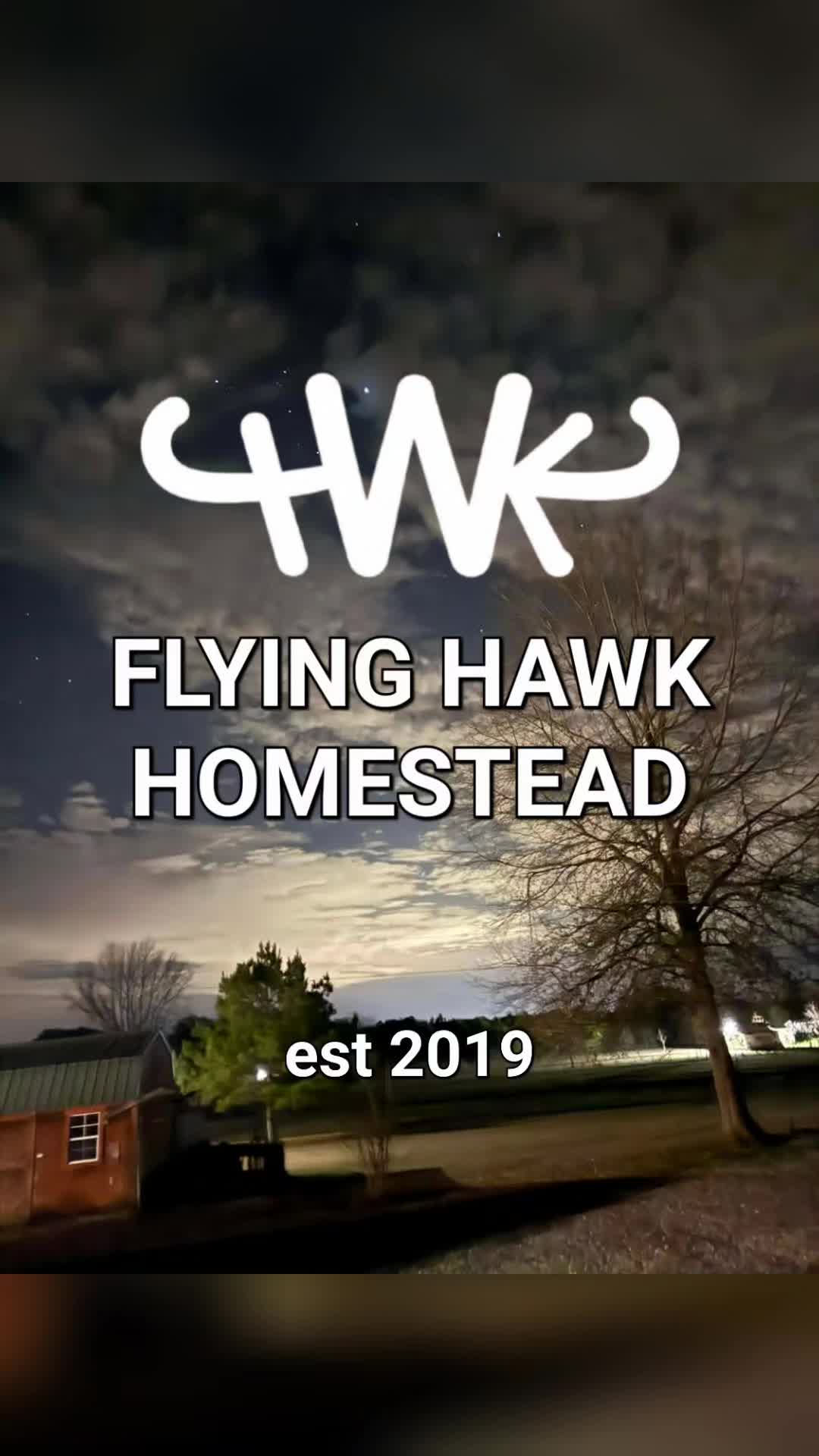 @Flying Hawk Homestead