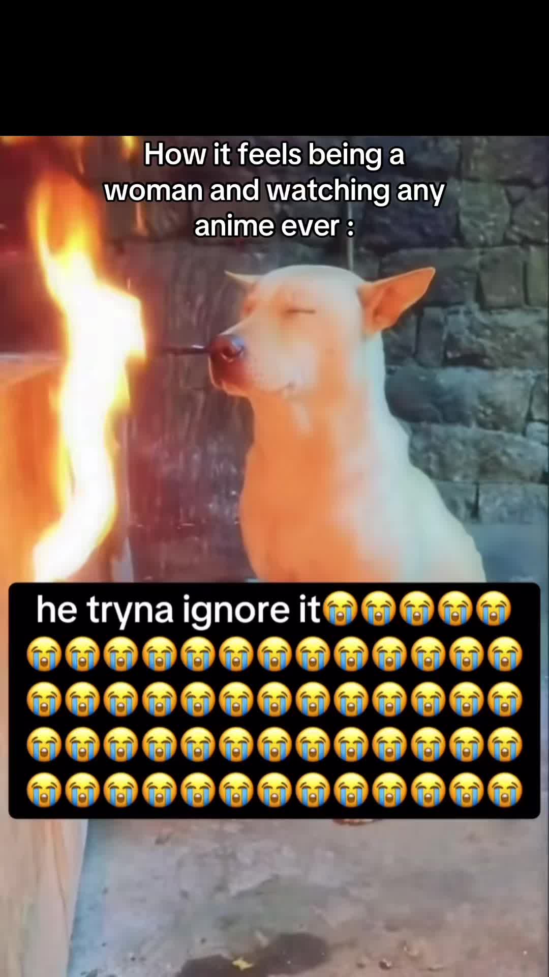 @JackingofftoAkaza