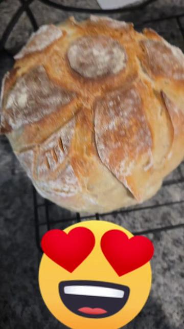 @ShellBee