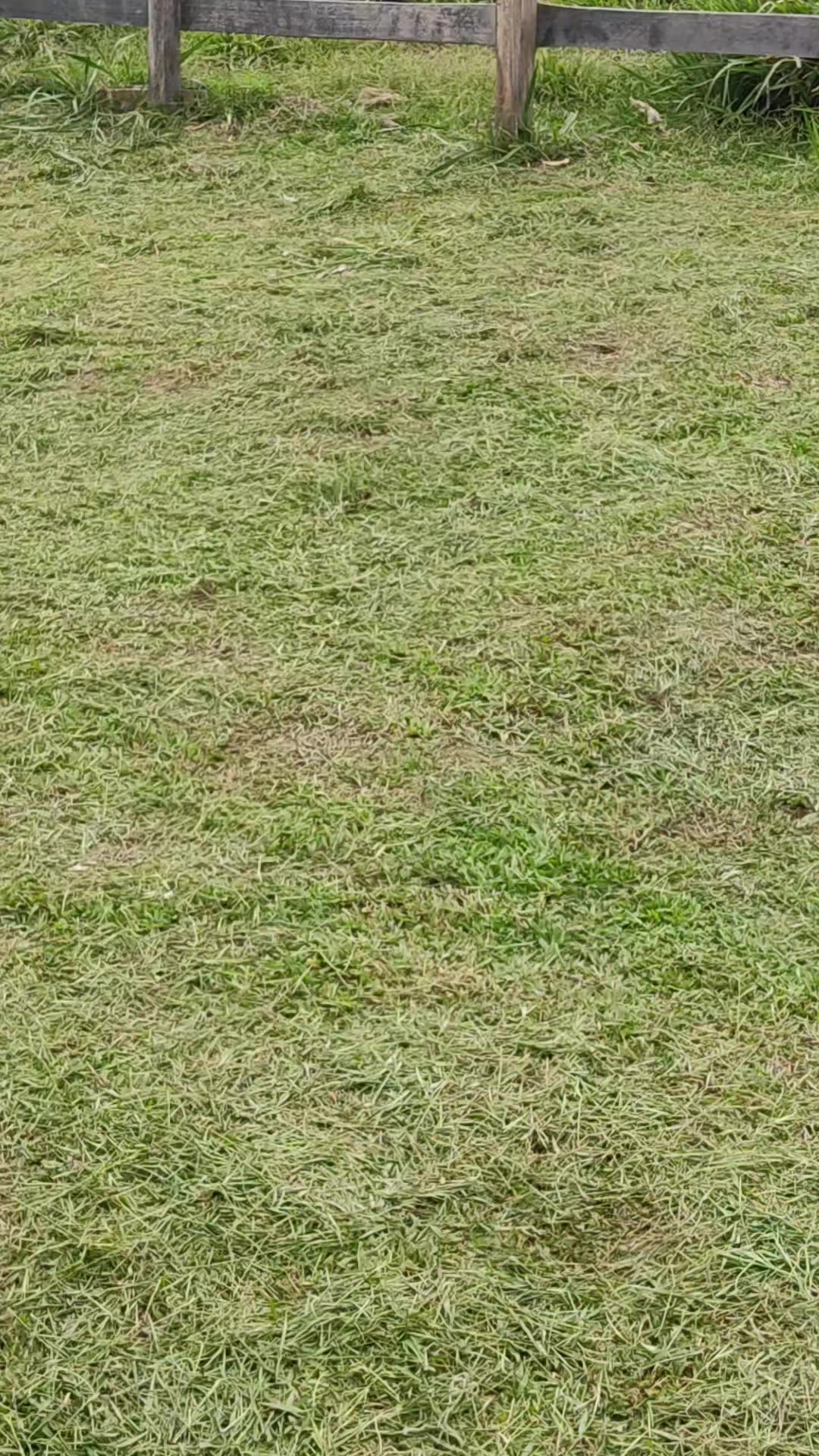 @Marin&ecirc;z