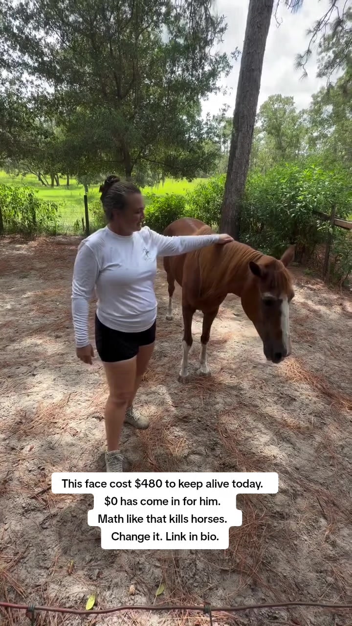 @REBORN ANIMAL RESCUER