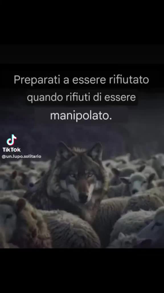 @il calabrese