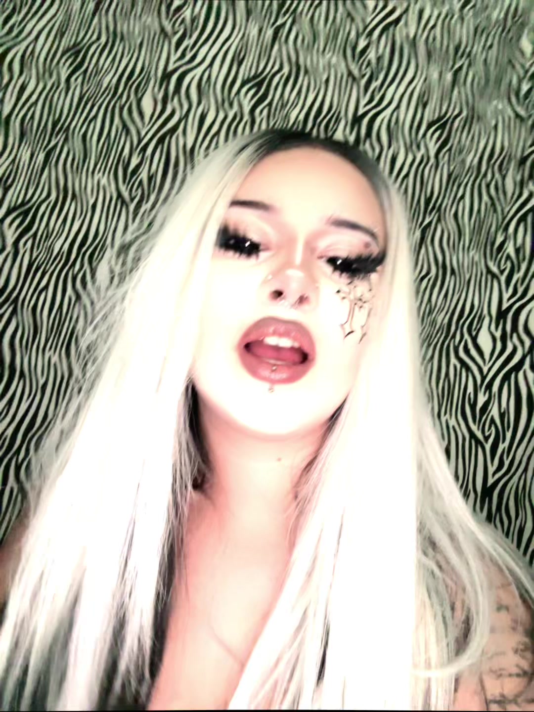 @batzbite