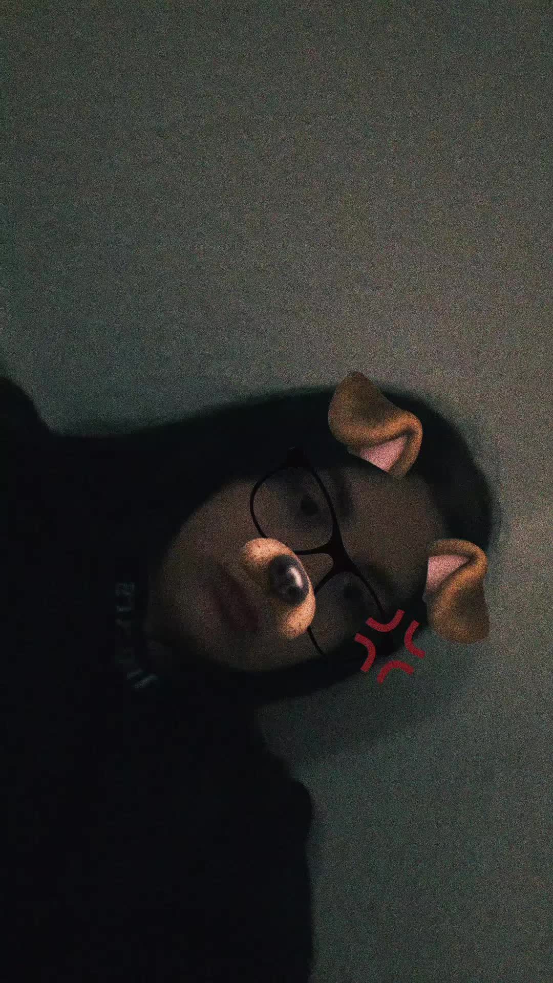 @๐ฅ๐๐๐_๐โฏ