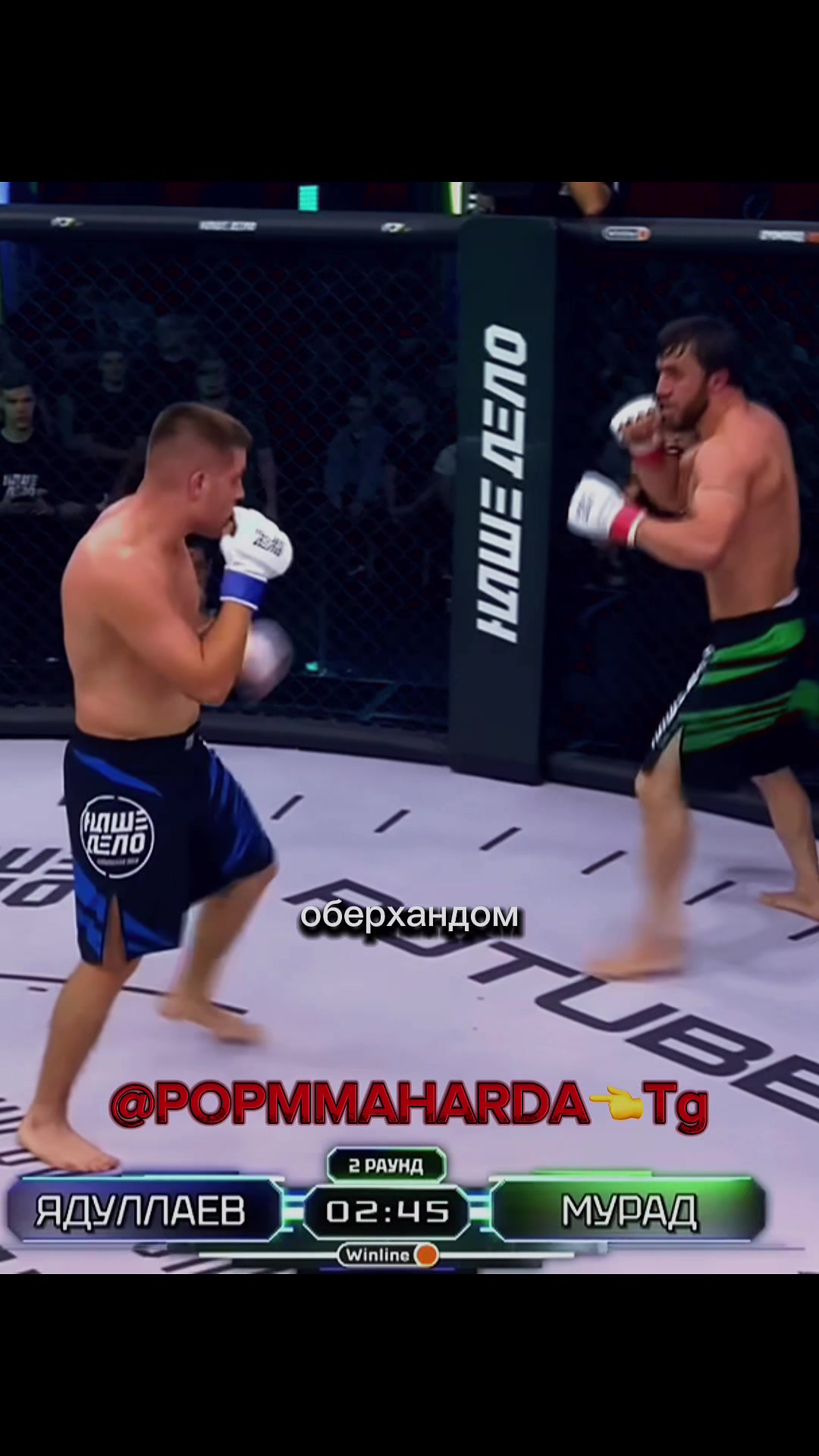 @тгк:@POPMMAHARDA