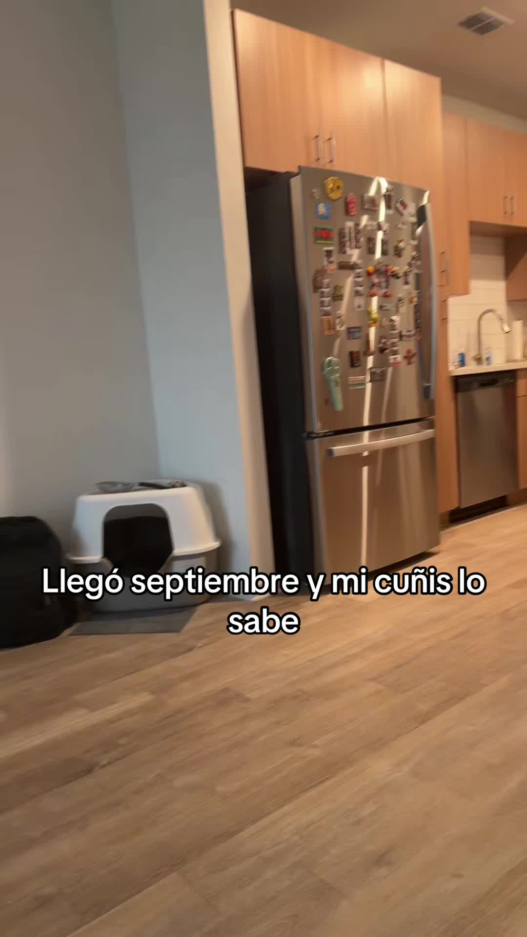 @joan_costero