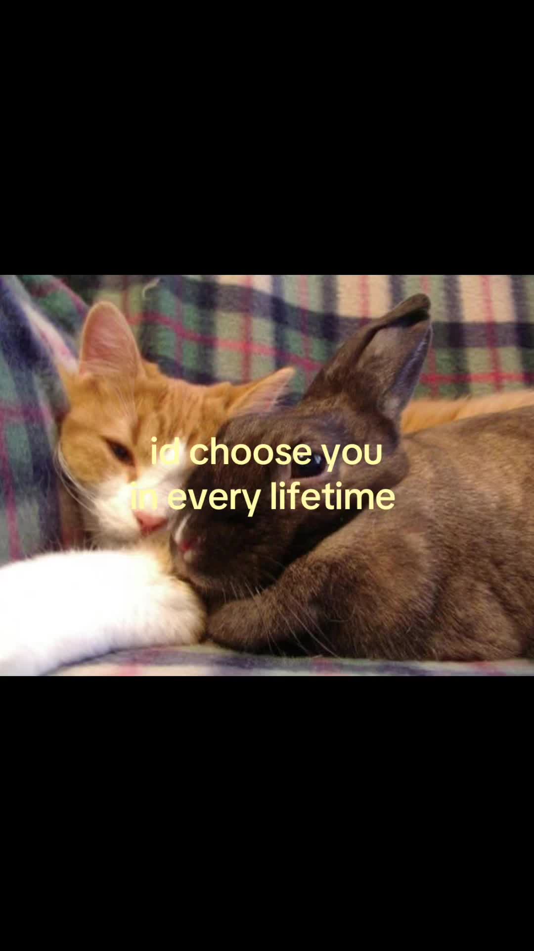 @rwnd